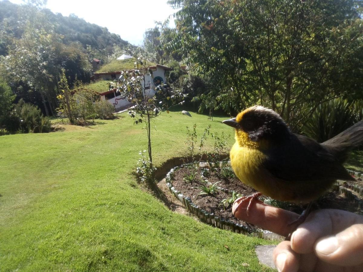 グアタビータ Jardin Colibri Rnt 33633ヴィラ エクステリア 写真