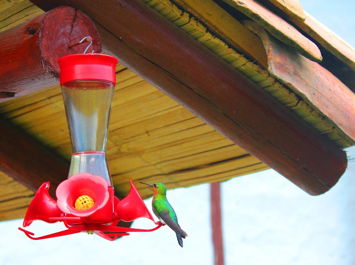 グアタビータ Jardin Colibri Rnt 33633ヴィラ エクステリア 写真